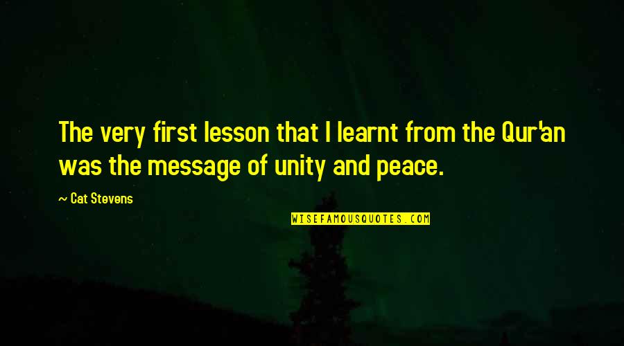 Waves Iceberg Quotes By Cat Stevens: The very first lesson that I learnt from Waves Iceberg Quotes By Cat Stevens: The very first lesson that I learnt from