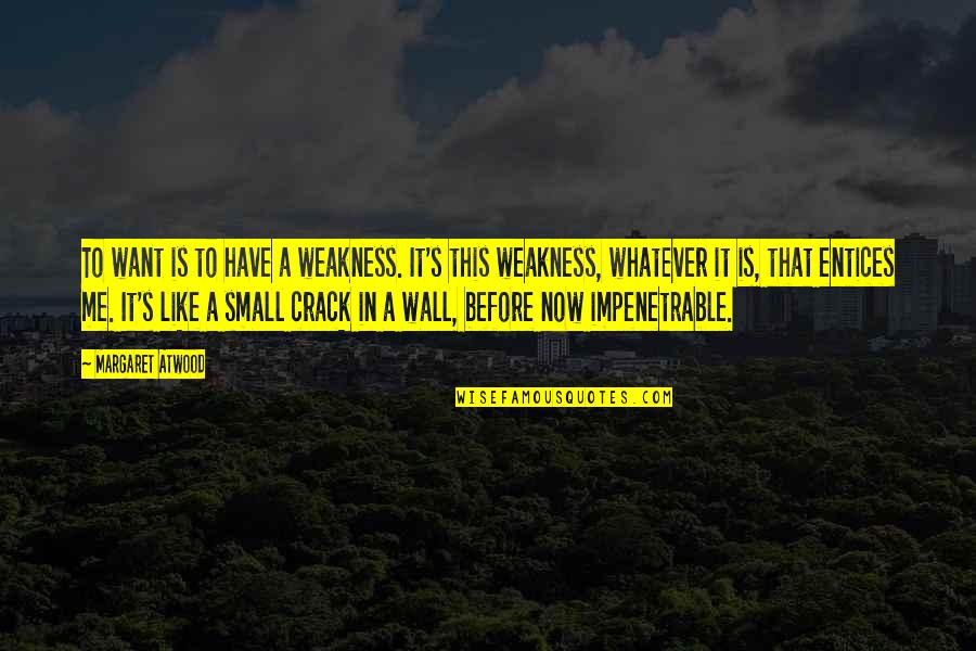 Waves Iceberg Quotes By Margaret Atwood: To want is to have a weakness. It's Waves Iceberg Quotes By Margaret Atwood: To want is to have a weakness. It's