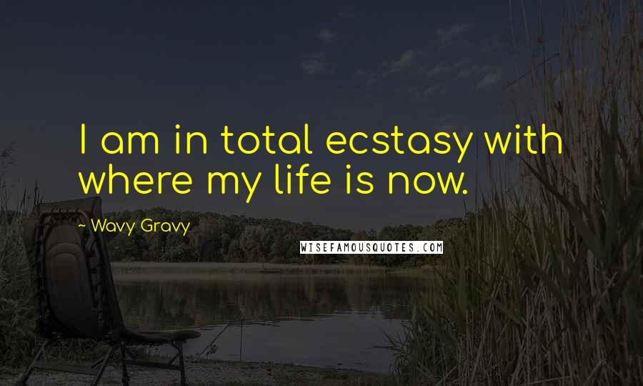 Wavy Gravy quotes: I am in total ecstasy with where my life is now.
