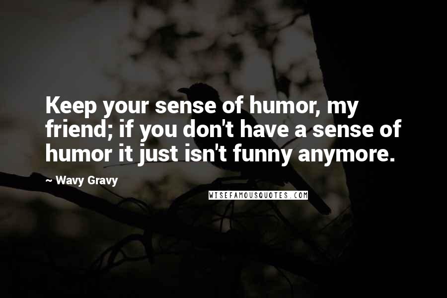 Wavy Gravy quotes: Keep your sense of humor, my friend; if you don't have a sense of humor it just isn't funny anymore.