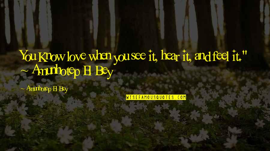 Wawrzyniak Castle Quotes By Amunhotep El Bey: You Know love when you see it, hear Wawrzyniak Castle Quotes By Amunhotep El Bey: You Know love when you see it, hear