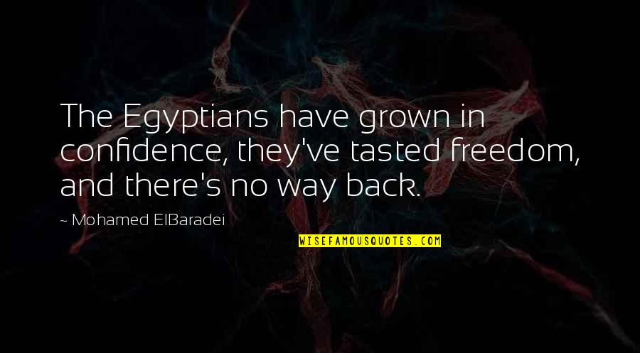 Way Back Quotes By Mohamed ElBaradei: The Egyptians have grown in confidence, they've tasted Way Back Quotes By Mohamed ElBaradei: The Egyptians have grown in confidence, they've tasted