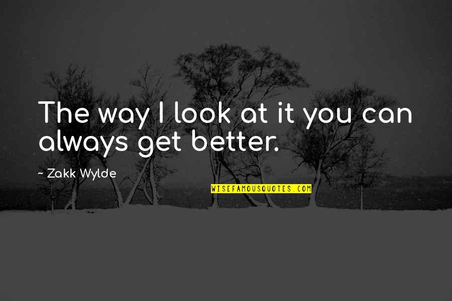 Way I Look At You Quotes By Zakk Wylde: The way I look at it you can
