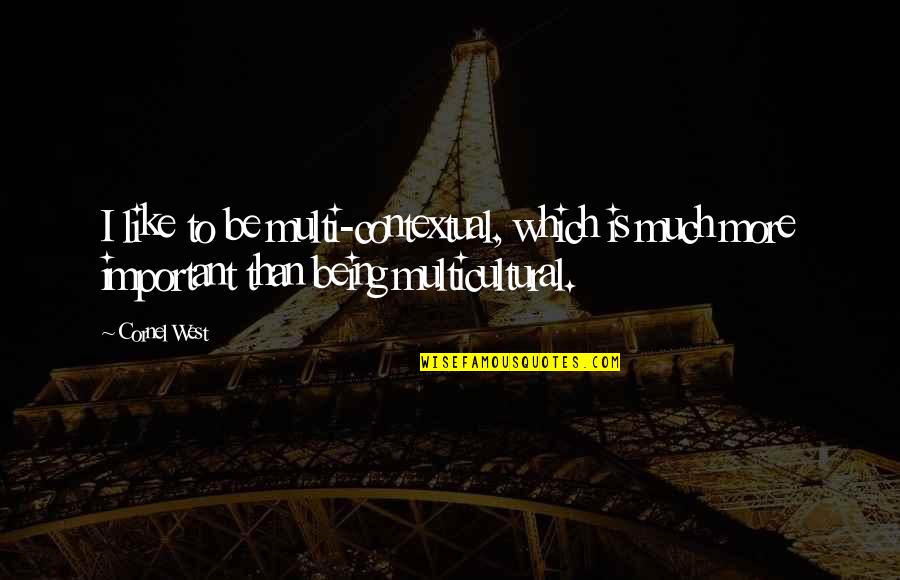 Way To Go Idaho Toy Story Quotes By Cornel West: I like to be multi-contextual, which is much