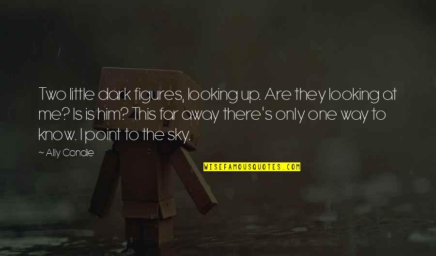 Way Up In The Sky Quotes By Ally Condie: Two little dark figures, looking up. Are they