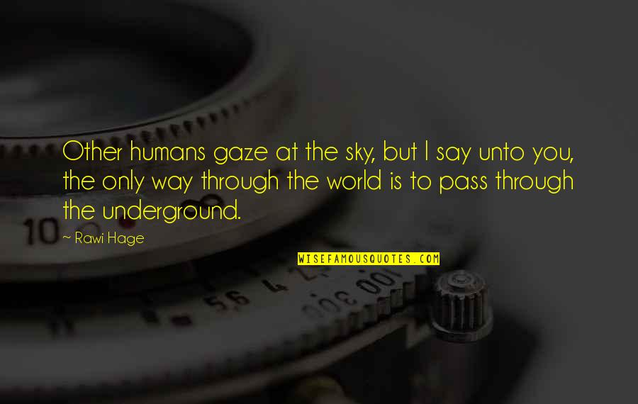 Way Up In The Sky Quotes By Rawi Hage: Other humans gaze at the sky, but I