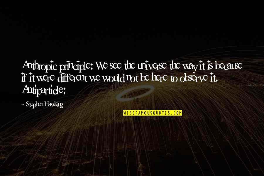 Way We Were Quotes By Stephen Hawking: Anthropic principle: We see the universe the way