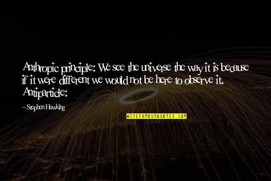Way We Were Quotes By Stephen Hawking: Anthropic principle: We see the universe the way Way We Were Quotes By Stephen Hawking: Anthropic principle: We see the universe the way