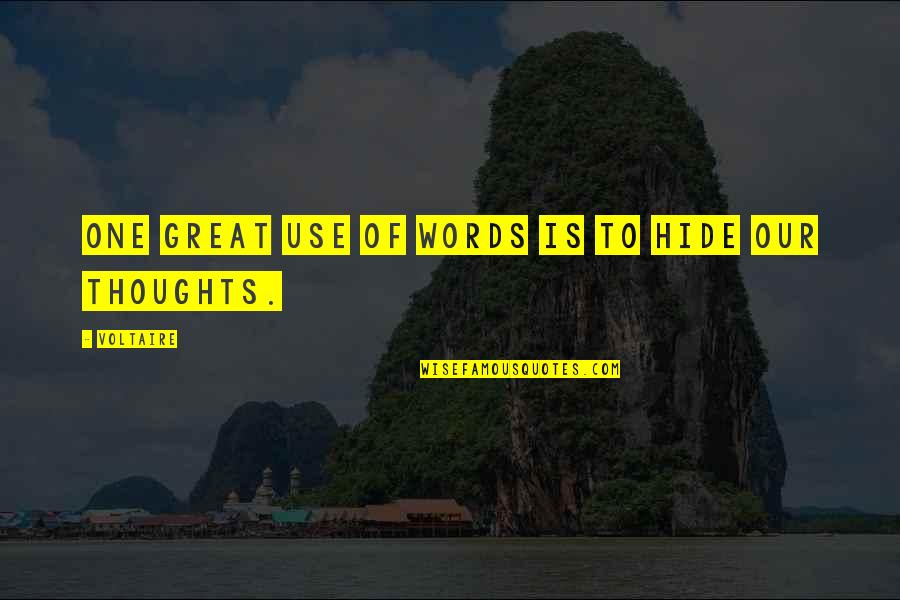 Wayin Logo Quotes By Voltaire: One great use of words is to hide