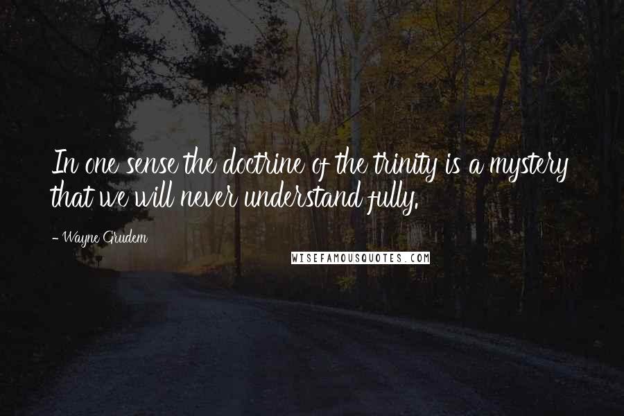 Wayne Grudem quotes: In one sense the doctrine of the trinity is a mystery that we will never understand fully.