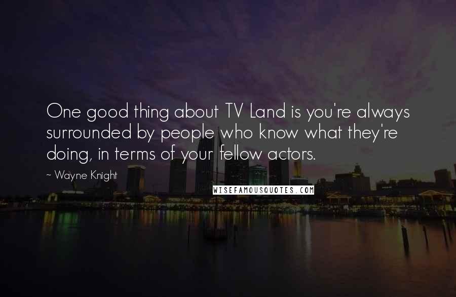 Wayne Knight quotes: One good thing about TV Land is you're always surrounded by people who know what they're doing, in terms of your fellow actors.