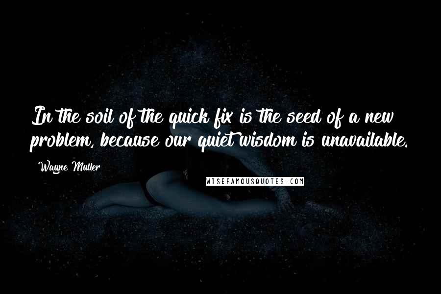 Wayne Muller quotes: In the soil of the quick fix is the seed of a new problem, because our quiet wisdom is unavailable.