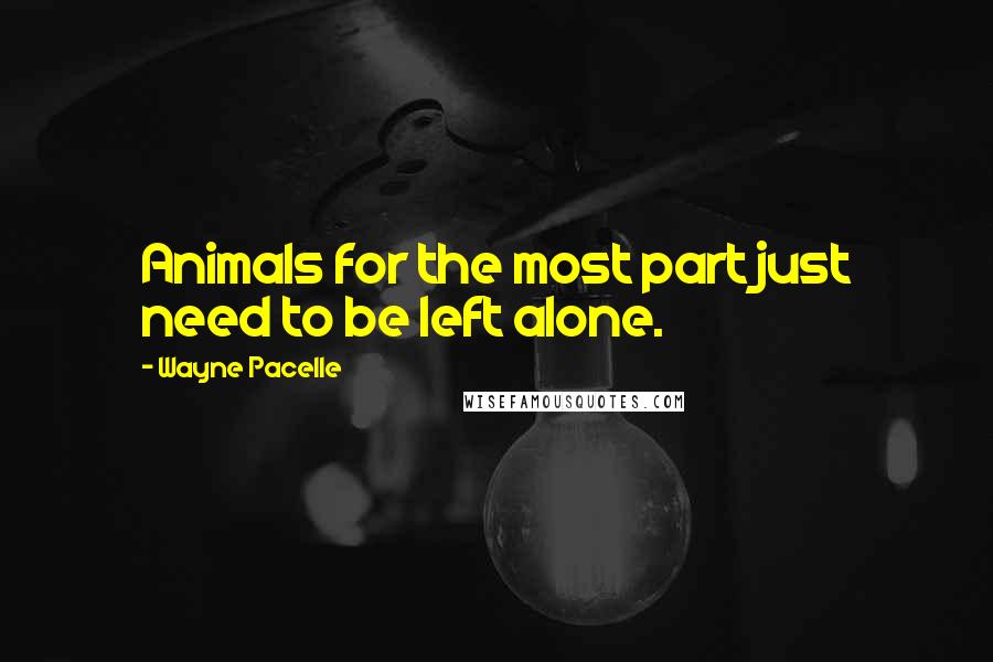 Wayne Pacelle quotes: Animals for the most part just need to be left alone.