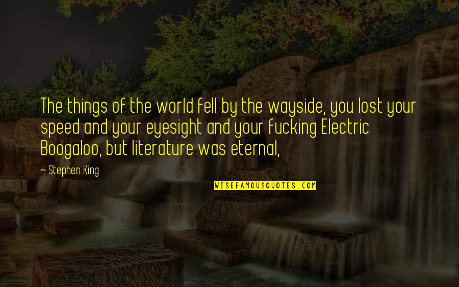 Wayside Quotes By Stephen King: The things of the world fell by the Wayside Quotes By Stephen King: The things of the world fell by the