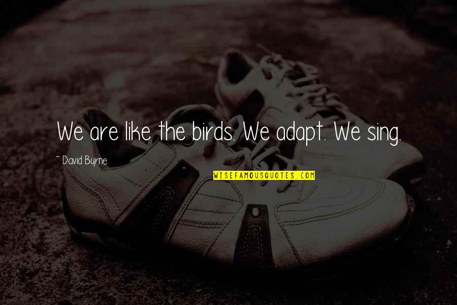 We Adapt Quotes By David Byrne: We are like the birds. We adapt. We