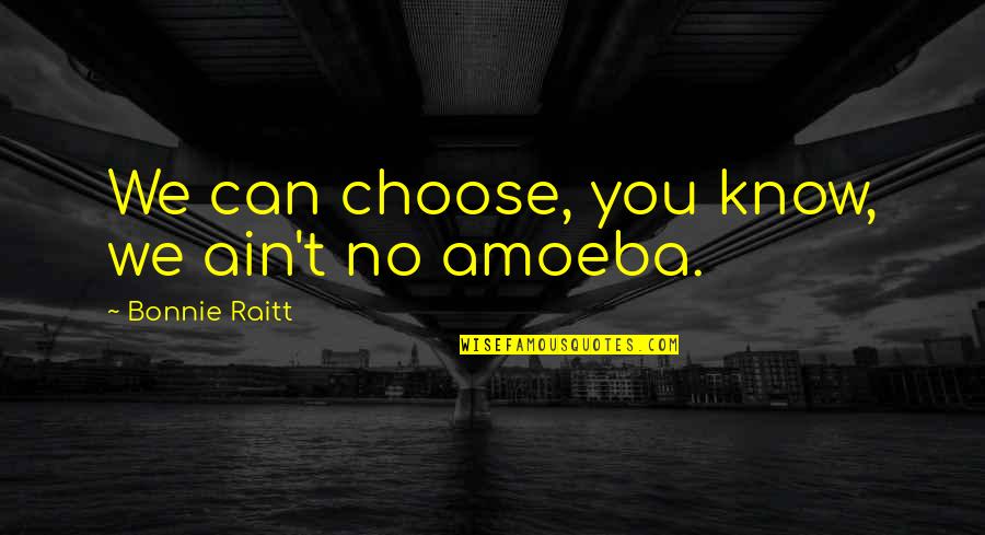 We Ain't Quotes By Bonnie Raitt: We can choose, you know, we ain't no