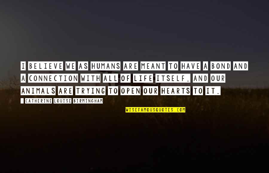 We All Are Humans Quotes By Catherine Louise Birmingham: I believe we as humans are meant to