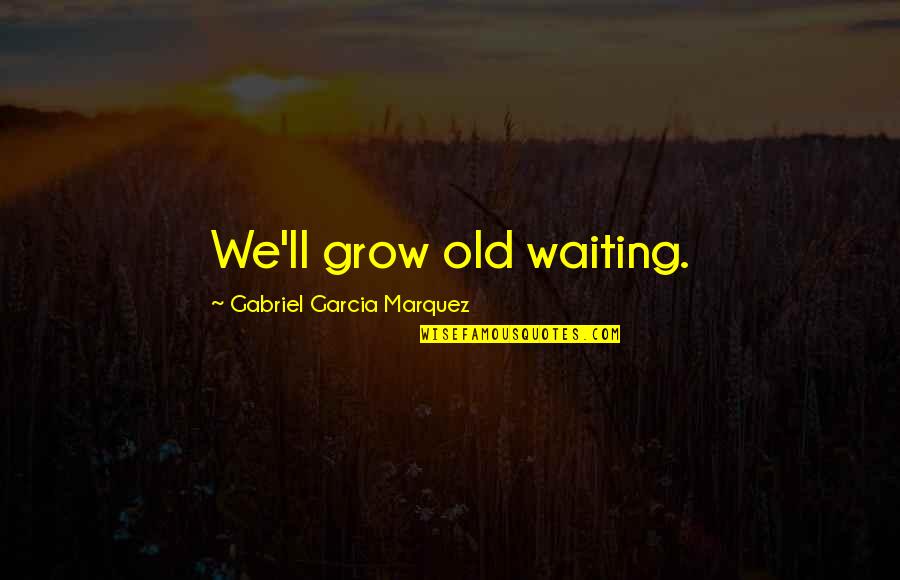 We All Grow Old Quotes By Gabriel Garcia Marquez: We'll grow old waiting.