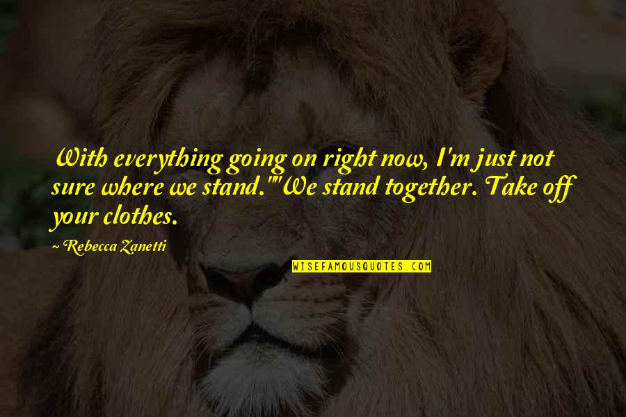 We All Stand Together Quotes By Rebecca Zanetti: With everything going on right now, I'm just