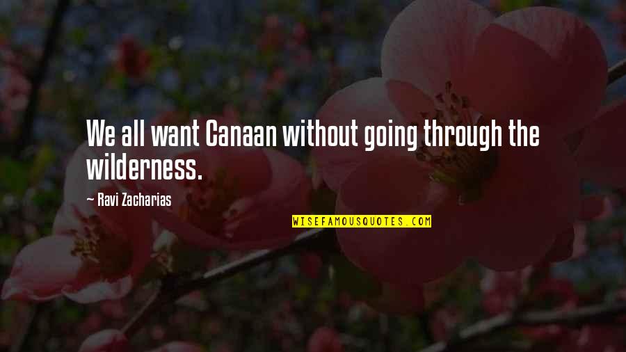 We All Want Quotes By Ravi Zacharias: We all want Canaan without going through the We All Want Quotes By Ravi Zacharias: We all want Canaan without going through the