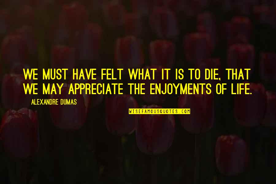 We Appreciate Quotes By Alexandre Dumas: We must have felt what it is to We Appreciate Quotes By Alexandre Dumas: We must have felt what it is to