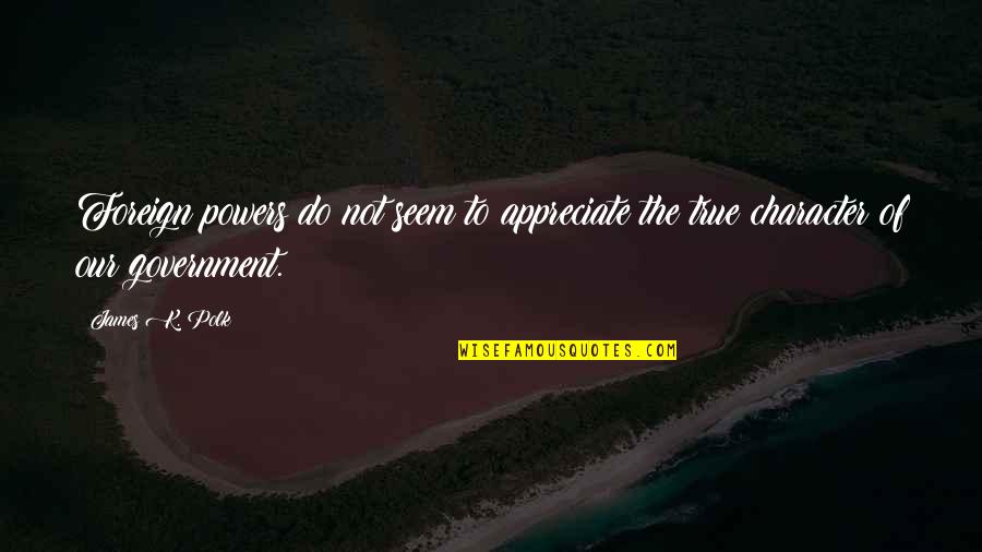 We Appreciate You Quotes By James K. Polk: Foreign powers do not seem to appreciate the