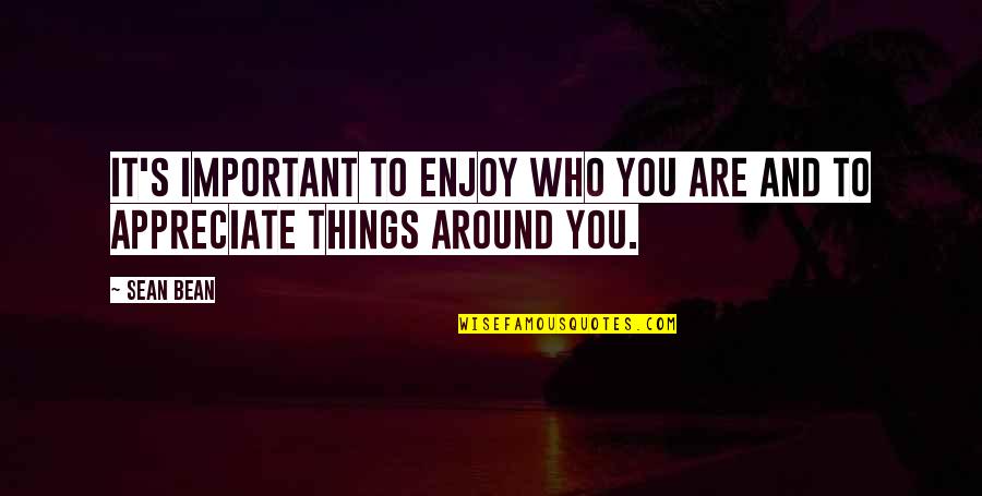We Appreciate You Quotes By Sean Bean: It's important to enjoy who you are and