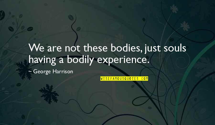 We Are A Soul Quotes By George Harrison: We are not these bodies, just souls having We Are A Soul Quotes By George Harrison: We are not these bodies, just souls having