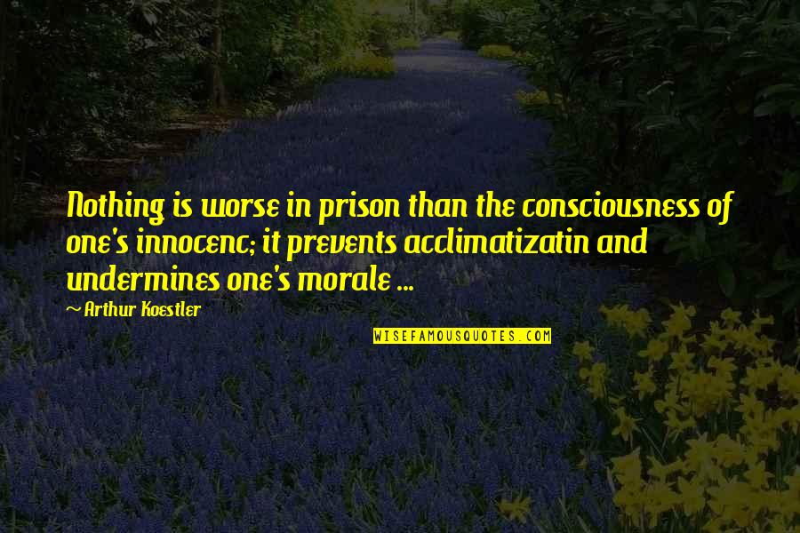 We Are All One Consciousness Quotes By Arthur Koestler: Nothing is worse in prison than the consciousness