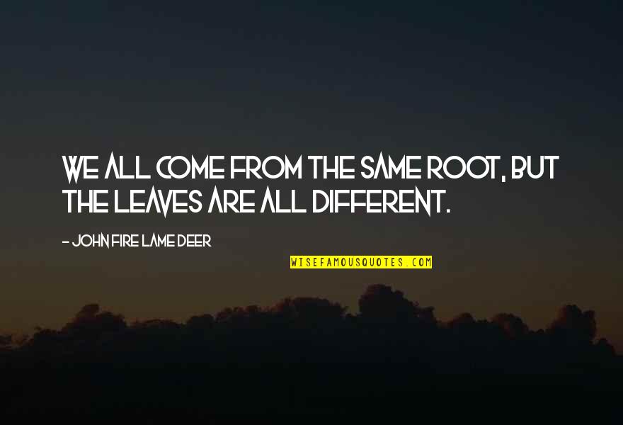 We Are All The Same But Different Quotes By John Fire Lame Deer: We all come from the same root, but