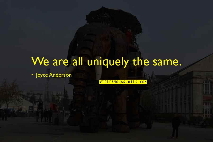 We Are All The Same Quotes By Joyce Anderson: We are all uniquely the same.