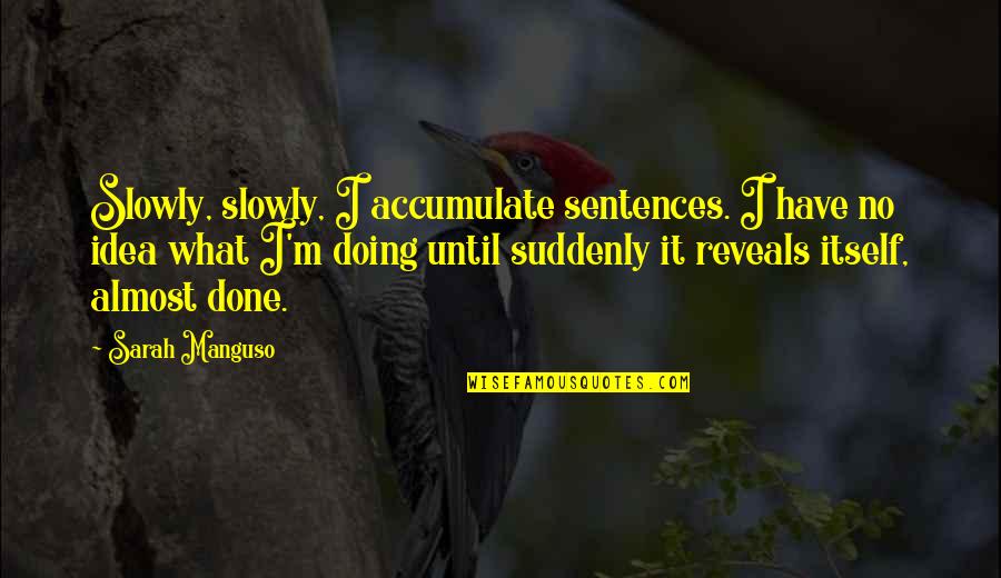 We Are Almost Done Quotes By Sarah Manguso: Slowly, slowly, I accumulate sentences. I have no