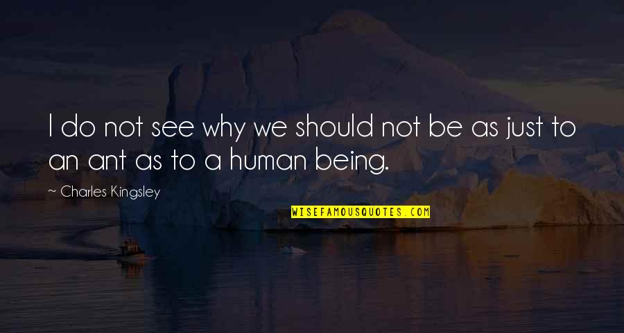 We Are Ants Quotes By Charles Kingsley: I do not see why we should not We Are Ants Quotes By Charles Kingsley: I do not see why we should not