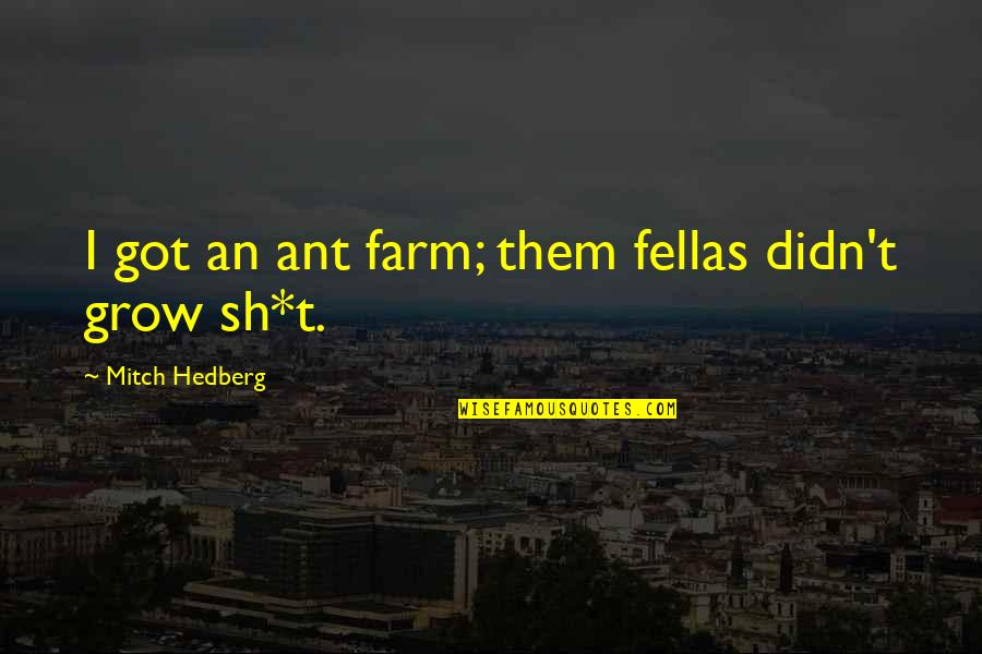 We Are Ants Quotes By Mitch Hedberg: I got an ant farm; them fellas didn't We Are Ants Quotes By Mitch Hedberg: I got an ant farm; them fellas didn't