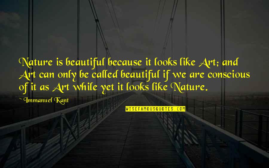 We Are Beautiful Quotes By Immanuel Kant: Nature is beautiful because it looks like Art;