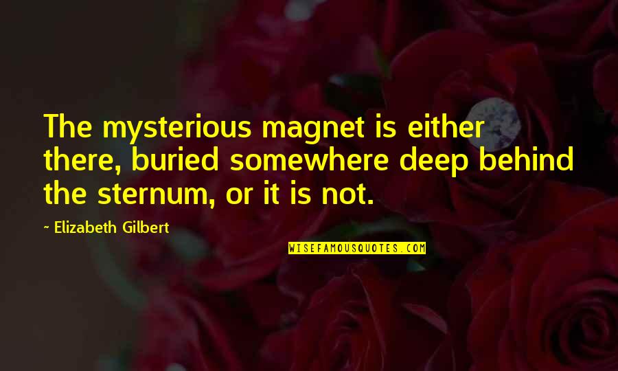 We Are Behind You Quotes By Elizabeth Gilbert: The mysterious magnet is either there, buried somewhere We Are Behind You Quotes By Elizabeth Gilbert: The mysterious magnet is either there, buried somewhere