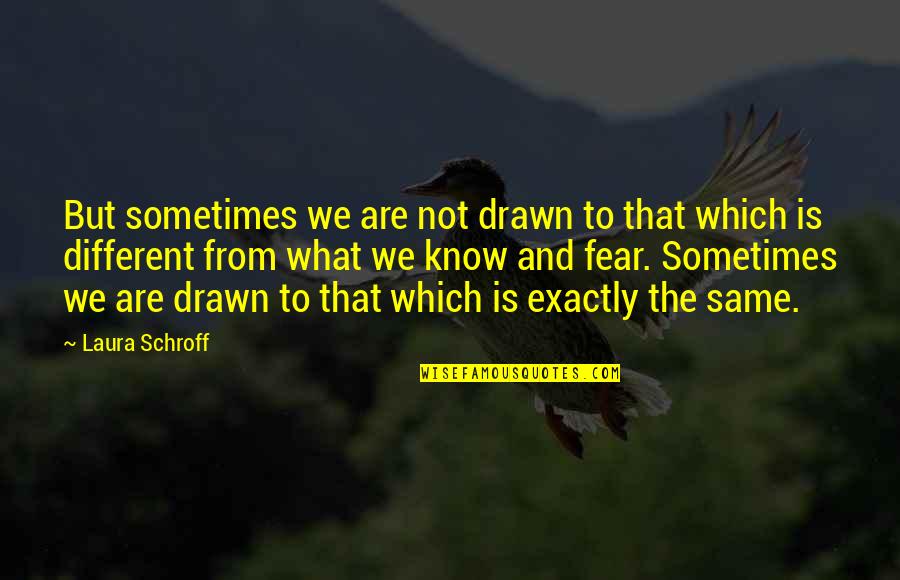 We Are Different But Quotes By Laura Schroff: But sometimes we are not drawn to that