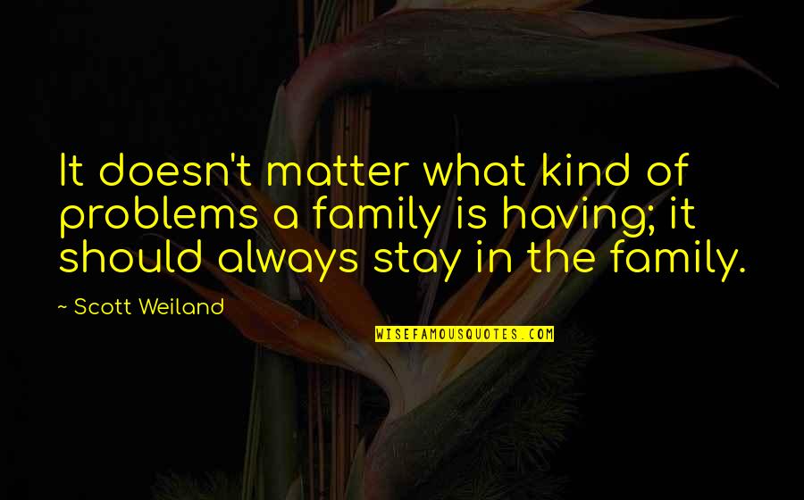 We Are Family No Matter What Quotes By Scott Weiland: It doesn't matter what kind of problems a