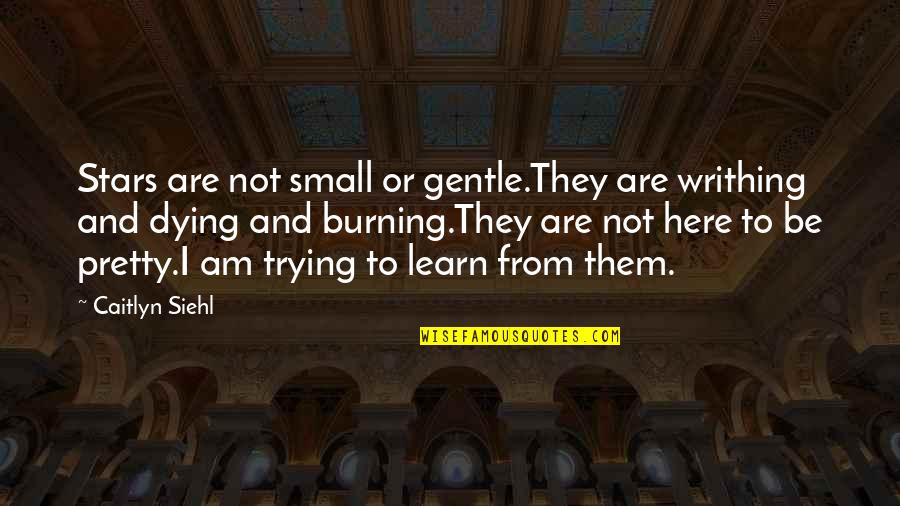 We Are Here To Learn Quotes By Caitlyn Siehl: Stars are not small or gentle.They are writhing