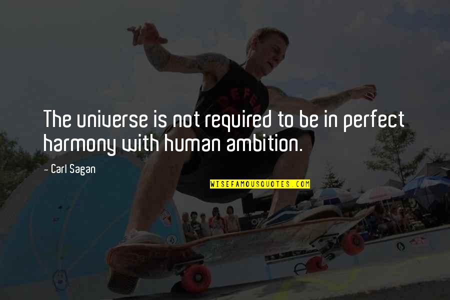 We Are Human We Are Not Perfect Quotes By Carl Sagan: The universe is not required to be in