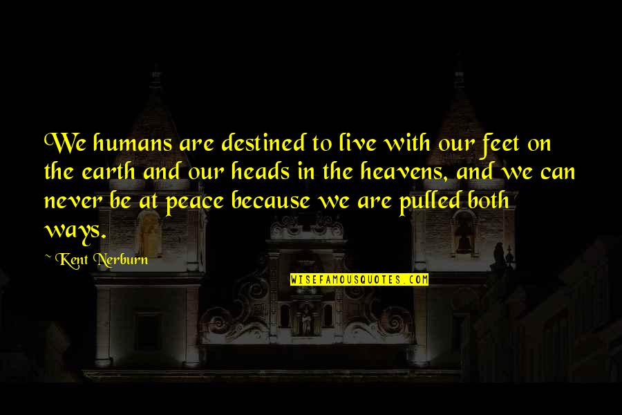 We Are Humans Quotes By Kent Nerburn: We humans are destined to live with our