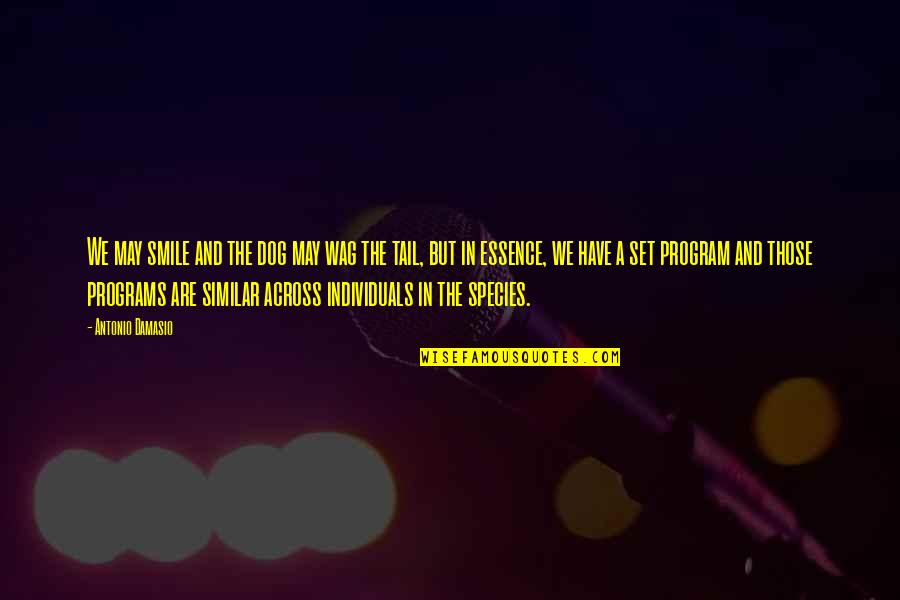 We Are Individuals Quotes By Antonio Damasio: We may smile and the dog may wag We Are Individuals Quotes By Antonio Damasio: We may smile and the dog may wag
