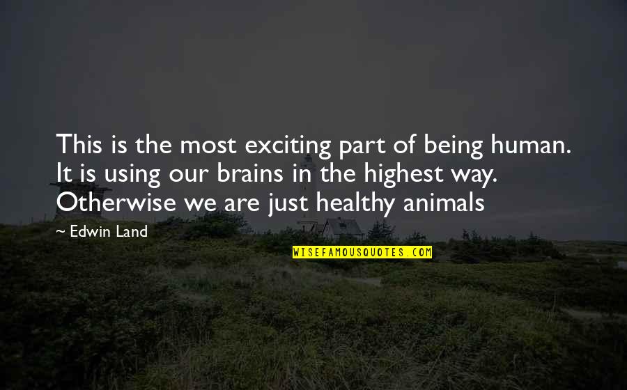 We Are Just Human Quotes By Edwin Land: This is the most exciting part of being