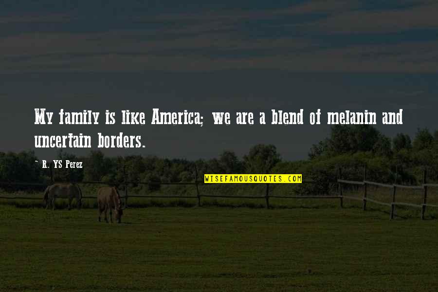 We Are Like Family Quotes By R. YS Perez: My family is like America; we are a