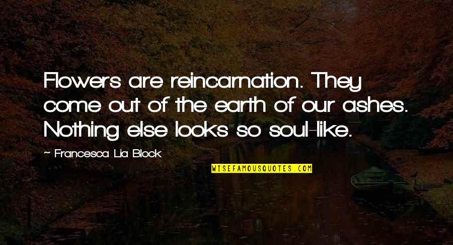 We Are Like Flowers Quotes By Francesca Lia Block: Flowers are reincarnation. They come out of the We Are Like Flowers Quotes By Francesca Lia Block: Flowers are reincarnation. They come out of the