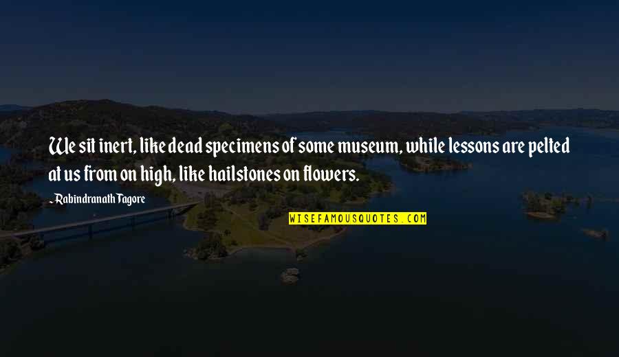 We Are Like Flowers Quotes By Rabindranath Tagore: We sit inert, like dead specimens of some We Are Like Flowers Quotes By Rabindranath Tagore: We sit inert, like dead specimens of some