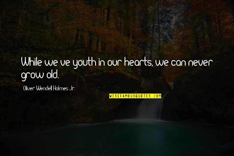 We Are Never Too Old Quotes By Oliver Wendell Holmes Jr.: While we've youth in our hearts, we can