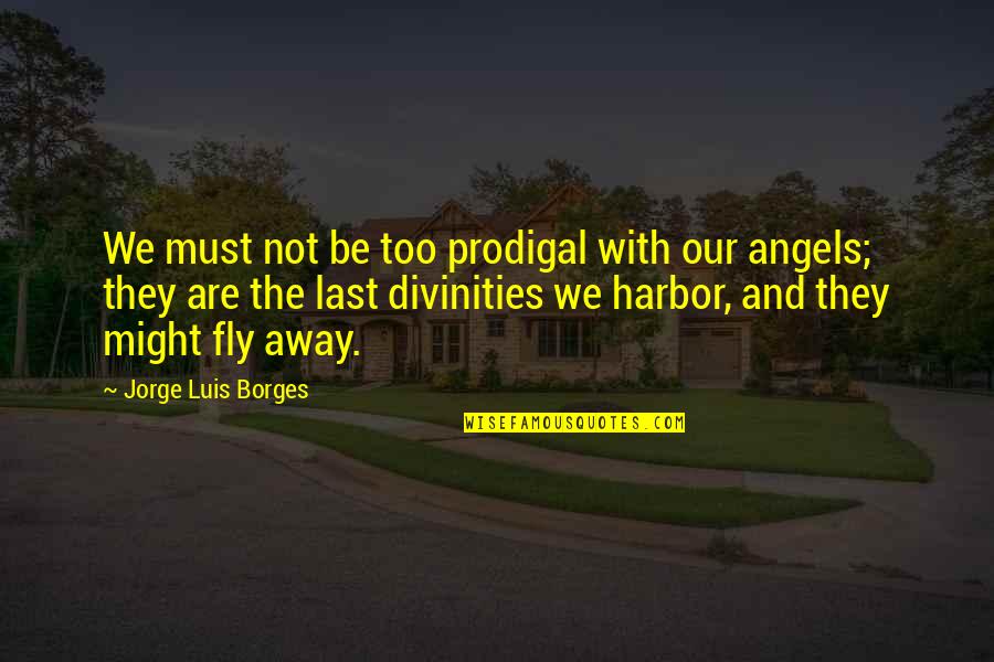 We Are Not Angels Quotes By Jorge Luis Borges: We must not be too prodigal with our