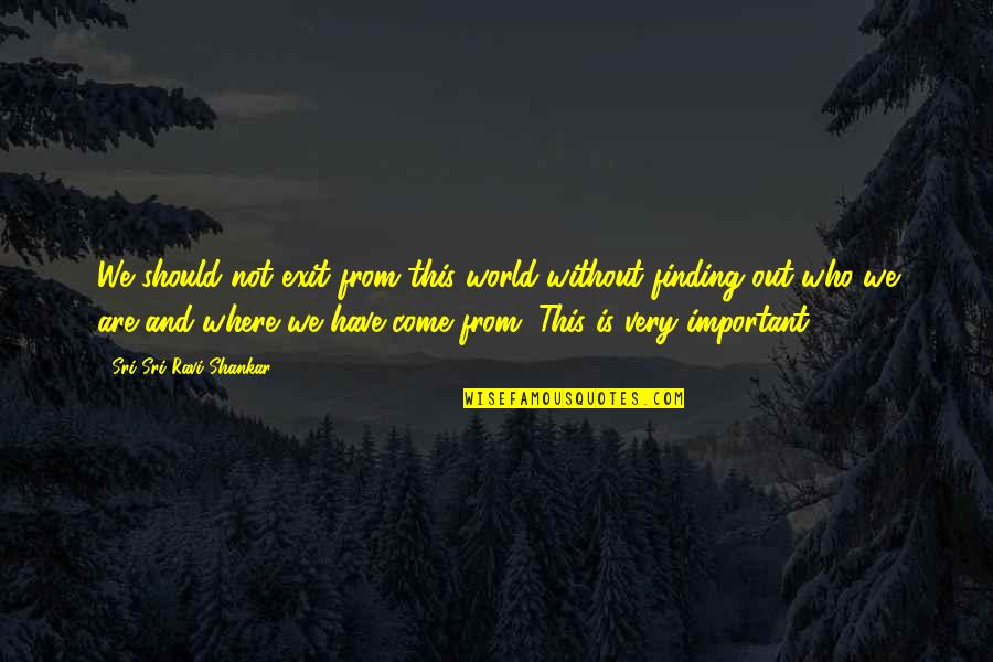 We Are Not Important Quotes By Sri Sri Ravi Shankar: We should not exit from this world without