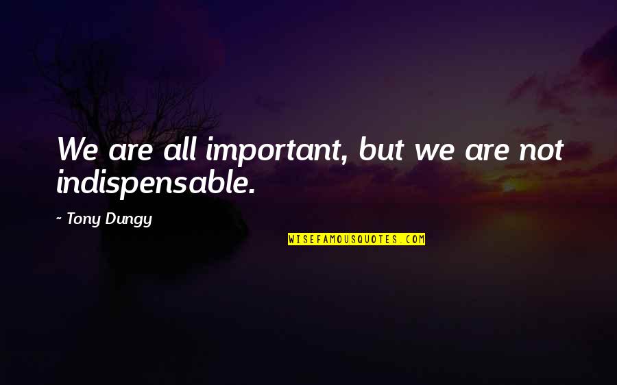 We Are Not Important Quotes By Tony Dungy: We are all important, but we are not